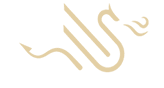 DMHub logo